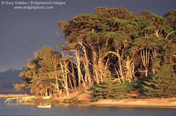 Canoe in Elkhorn Slough at sunset, Monterey County, California