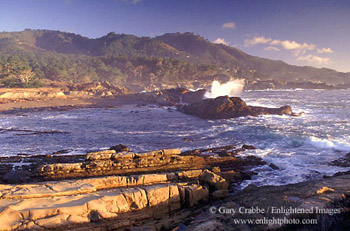 Sunset light on coastal cove, Point Lobos State Reserve, near Carmel, California