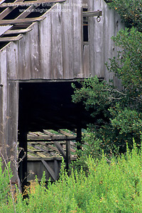 Old barn, Garland Ranch Regional Park, Carmel Valley, Monterey Co., California
