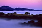 Coastal Fog, hills, and trees at dawn, Cachaqua Road, above Carmel Valley, Monterey County, California