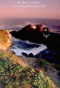Dawn over the coastal rocks, near the Noyo River, Fort Bragg, Mendocino Coast, California