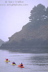 Sea Kayaking on the Mendocino Coast, near Little River, California