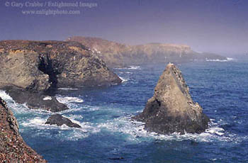 Clearing fog over coastal bluffs of the Mendocino Headlands, Mendocino Coast, California