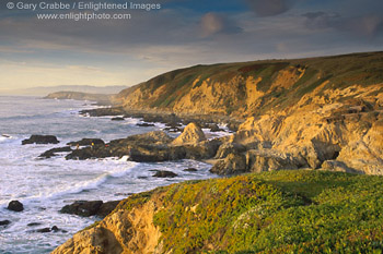 Sunset on Bodega Head, near Bodega Bay, Sonoma Coast, California