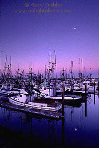 Moonset at dawn over commercial fishing boats in the Crescent City Harbor, Del Norte County, California