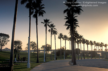 Palm tree lined sidewalk walkway recreation path at sunset, Long Beach Harbor, California2