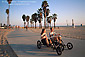 Young tourist couple tandem cycling along palm tree lined path next to beach at sunset, Santa Monica, California