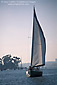 Sailboat sailing in harbor channel, Newport Beach, Orange County, California