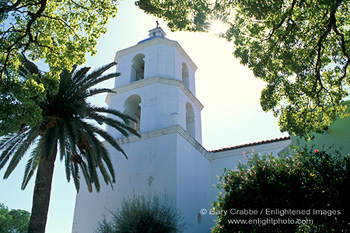 rees frame the bell tower of the old historic Mission San Luis Rey, Oceanside, San Diego County, Southern California