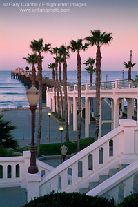 Palm Trees next to the Oceanside Pier at dawn, Oceanside, San Diego County Coast, California