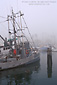 Fishing boat and fog at the Santa Barbara Harbor, Santa Barbara, California