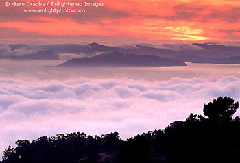 Sunset and fog over San Francisco Bay, from the Berkeley Hills, Alameda County, California