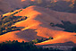 Sunset light on golden hills in summer, Briones Regional Park, Orinda, Contra Costa County, San Francisco Bay Area, California