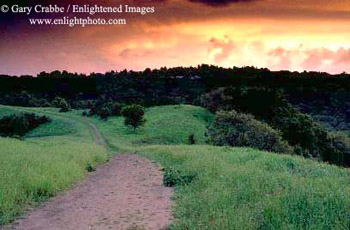 Storm clouds at sunset over the Rim Trail in spring, Lafayette Reservoir, Contra Costa County, California