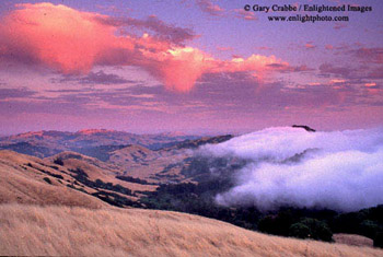 Fog moving over the Berkeley Hills at sunset, from the hills above Orinda, Contra Costa County, California