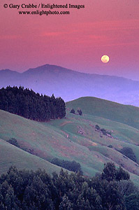 Full moon rising over Mount Diablo and rolling green hills in spring, near Orinda, Contra Costa County, California