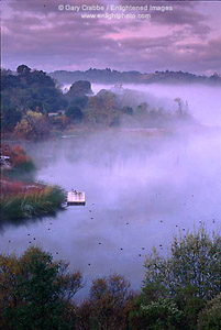 Lone fisherman on dock at dawn, Lafayette Resevoir, Lafayette, Contra Costa County, California