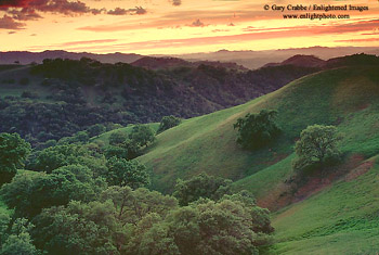 Sunset over rolling green hills and oak trees in spring,  Mount Diablo State Park, Contra Costa County, California