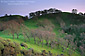 Evening light over oak trees and grass hills in spring, Mount Diablo State Park, Contra Costa County, California