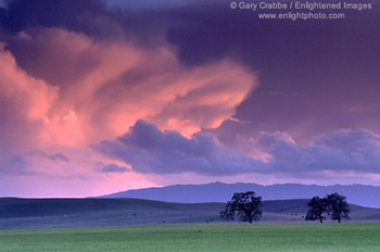 Alpenglow on storm cloud at sunset over pasture in the Tassajara Region, near Livermore, California