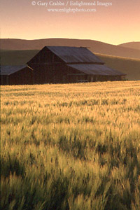 Sunrise over barn and pasture in the Tassajara Region, near Livermore, California
