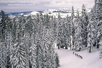 Cross county skirng after a winter storm below Castle Peak, near Lake Tahoe, California