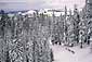 Cross county skirng after a winter storm below Castle Peak, near Lake Tahoe, California