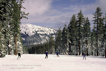 Skiing at Sierra at Tahoe Ski  Area, near Lake Tahoe, California