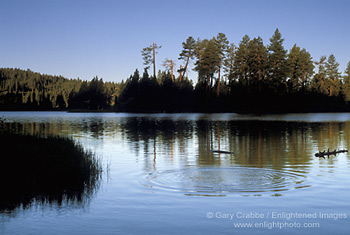 Circular ripples incalm waters of Manzanita Lake at sunrise, Lassen Volcanic National Park, California; Stock Photo photography picture image photograph fine art decor print wall mural gallery