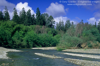 Navarro River at Hendy Woods State Park, near Philo, Mendocino County, California