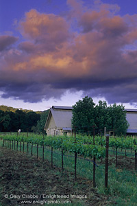 Sunset on clouds over Fetzer Vineyards, East Side Road, near Hopland, Mendocino County, California