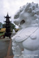 Stone Lion Statue, City of 10,000 Buddhas, Talmadge, near Ukiah, Mendocino County, California