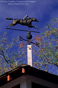 Weathervane atop Seabiscuit Barn, Ridgewood Ranch, near Willits, Mendocino County, California