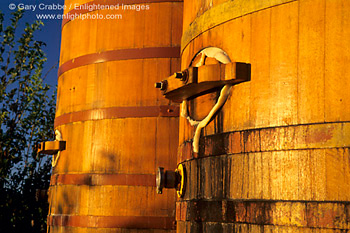 Large wooden Oak Wine storage barrels at sunrise, Bouchaine Estate Vineyards Winery, Carneros Region, Napa County, California