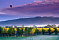 Hot air balloon at sunrise over vineyard in autumn, Oakville, Napa Valley Wine Region, California