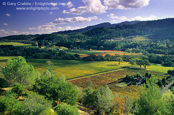 Overlooking Napa Valley in fall from Sterling Vineyards Winery, near Calistoga, Napa Valley, California