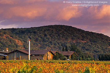 Pink clouds over vineyard and winery in fall, along the Silverado Trail, Napa Valley, California