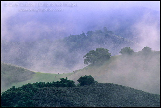 Photo: Morning mist on hills along Foxen Canyon Road, Santa Barbara County, California
