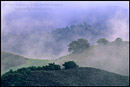 Picture: Morning mist on hills along Foxen Canyon Road, Santa Barbara County, California