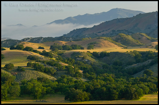 Photo: Oak trees and rolling green hills in Spring in rugged rangelands at the base of the Santa Ynez Mountains, California