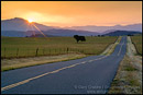 Picture: Golden sunrise light over long straight two lane country road and rolling hills in Spring, Santa Ynez Valley, California