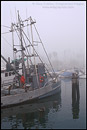 Picture: Commercial fishing boats in fog at dock in Santa Barbara Harbor, Santa Barbara, California