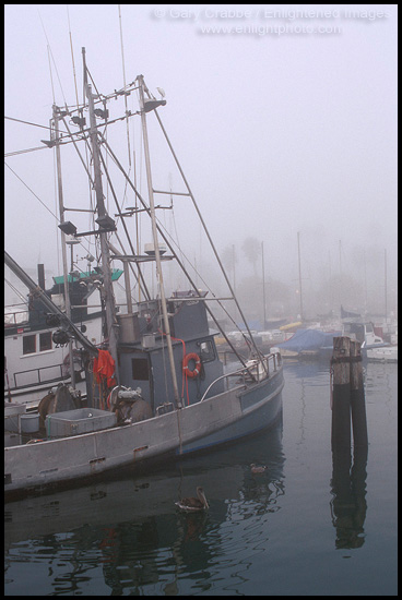 Commercial fishing boats in fog at dock in Santa Barbara Harbor, Santa Barbara, California