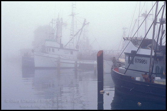 Photo: Commercial Fishing boats docked in marina in morning fog, Santa Barbara Harbor, Santa Barbara, Southern Coast, California