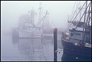 Picture: Commercial Fishing boats docked in marina in morning fog, Santa Barbara Harbor, Santa Barbara, Southern Coast, California