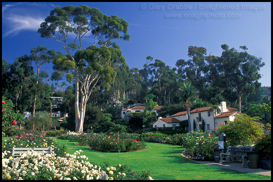 Mission Park Rose Garden, Santa Barbara, California