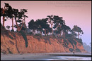 Picture: Evening light over coastal cypress trees and cliff along Butterfly Beach, Santa Barbara, California