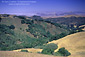 Oak covered hills above San Luis Obispo, San Luis Obispo County, CALIFORNIA