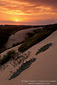 Sunset at the Guadalupe - Nipomo Dunes San Luis Obispo County, CALIFORNIA