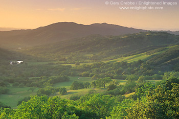 Sunset over oak trees and valley in spring, along Adelaida Road, Paso Robles, San Luis Obispo County, California